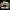 دسته بازی سیمی XBox و PC گیمسر Gamesir G7 SE White